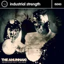 Never Stop the Fucking Rave by The Anunnaki - Frenchcore cover art