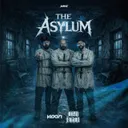 Cover of The Asylum