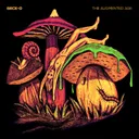 Cover of The Augmented Age - DJ Version