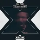 Cover of The Beginning