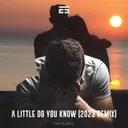 A Little Do You Know - Remix by The Elusive - Hardstyle cover art