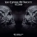 Cover of The Expense Of Society