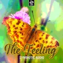 Cover of The Feeling