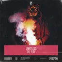 Cover of The Fire