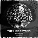 Cover of The Life Beyond