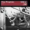 Hardstyle Baby - (acapella) by The Prophet - Hardstyle cover art