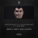 IDGAF (I Don't Give A Fuck) - Radio Edit by The Prophet, Rob Gee, The Anarchist - Hardstyle cover art