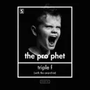 Triple F (Fight For Freedom) - Original Mix by The Prophet, The Anarchist - Hardstyle cover art