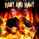 What You Want by The Raider, Oblivion - Hardstyle cover art