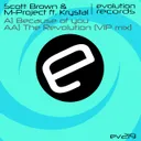 Cover of The Revolution - VIP Mix