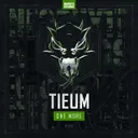Swingbeat #TiH - Original Mix by The Sickest Squad, Tieum, Kraken - Hardcore cover art