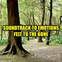 Soundtrack to Emotions Felt to the Bone by The Speakers, Kunal Roy - Frenchcore cover art