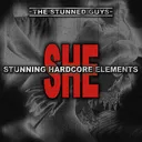 We control the bass by The Stunned Guys - Hardcore cover art