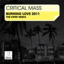 Burnin' Love - The Viper Remix by The Viper, Critical Mass - Hardcore cover art