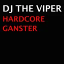 Rock the Disc-O-Tek by The Viper - Hardcore cover art