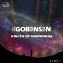 Voices of Andromeda - Executive Mix by Theo Gobensen - Hardstyle cover art