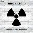 Cover of Thru The Exitus - Radio Edit