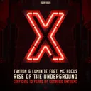 Rise Of The Underground (Official 10 Years of Gearbox Anthem) by Thyron, Luminite, MC Focus - Euphoric Hardstyle cover art