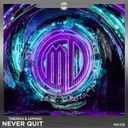 Never Quit by Tiberias, Lemarc - Hardstyle cover art