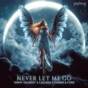 Never Let Me Go - Extended Mix by Timmy Trumpet, Cascada, Harris & Ford - Hardstyle cover art