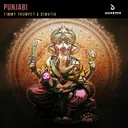 Punjabi by Timmy Trumpet, Dimatik - Hardstyle cover art