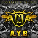 A.Y.B. - Extended Version by TNT - Hardstyle cover art