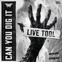Can You Dig It - Live Tool by TNT, Technoboy, Tuneboy - Hardstyle cover art