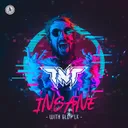 Insane by TNT, Technoboy, Tuneboy, GLDY LX - Hardstyle cover art