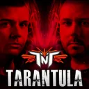 Tarantula - Radio Cut by TNT, Technoboy, Tuneboy - Hardstyle cover art
