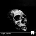 Unholy by Tomsky, Lidez - Hardstyle cover art
