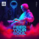 Feed Your Soul by Toneshifterz - Hardstyle cover art