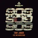 909 (feat. MC Hughie Babe) by Tony Junior, MC Hughie Babe - Hardstyle cover art