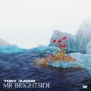 Mr Brightside by Tony Junior - Hardstyle cover art