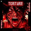 Cover of Torture