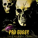 Pad Bussy by Toxic Machinery, USH - Hard Techno cover art