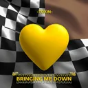 BRINGING ME DOWN by Toxin - Frenchcore cover art