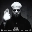 Cover of TRINITY - Slowed
