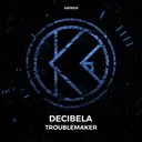 Cover of Troublemaker