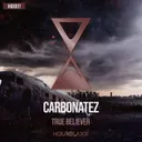 Cover of True Believer