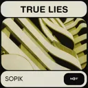 Cover of True Lies - Original Mix