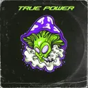Cover of True Power