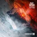 Cover of Trying