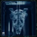 The Bass Control - NAT TYPE Remix by Trypdø, Discötiek, NAT TYPE - Hard Techno cover art