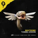 Cover of Tunnel Vision