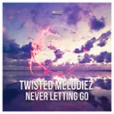 Never Letting Go - Extended Version by Twisted Melodiez - Euphoric Hardstyle cover art
