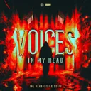 Voices In My Head by Udow, The Herbalist - Hardcore cover art