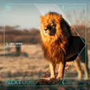 Whatever It Takes - Extended Mix by Uncaged - Rawstyle cover art
