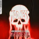 Madness - Original Mix by UnderGalaxies, S-TRIX - Hardstyle cover art