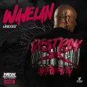 Wavelan by Unexist - Hardcore cover art