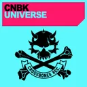Cover of Universe